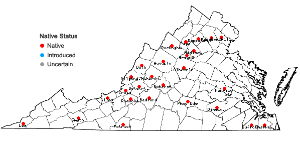 Locations ofHaplocladium virginianum (Brid.) Broth. in Virginia