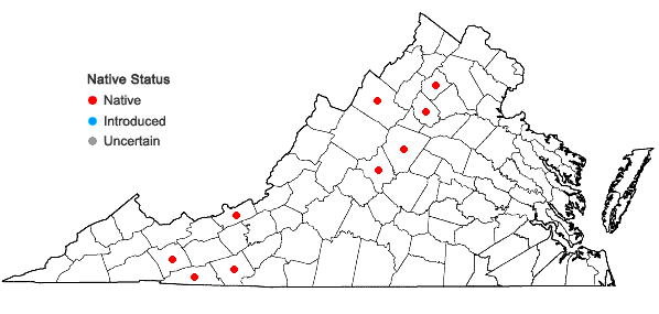 Locations ofHarpalejeunea molleri (Steph.) Grolle ssp. integra (R. M. Schust.) Damsh.  in Virginia