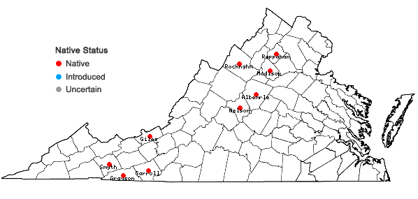 Locations ofHarpalejeunea molleri (Steph.) Grolle ssp. integra (R. M. Schust.) Damsh. in Virginia