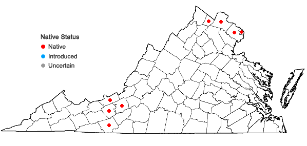 Locations ofHasteola suaveolens (L.) Pojarkova in Virginia