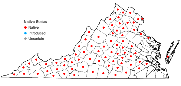 Locations ofHedeoma pulegioides (L.) Pers. in Virginia
