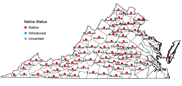 Locations ofHedeoma pulegioides (L.) Pers. in Virginia