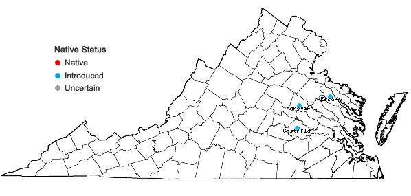 Locations ofHedera algeriensis Hibberd in Virginia