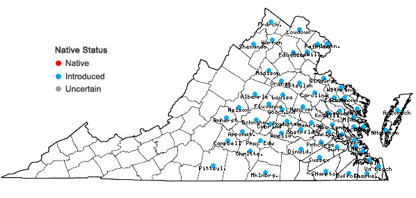 Locations ofHedera helix L. in Virginia