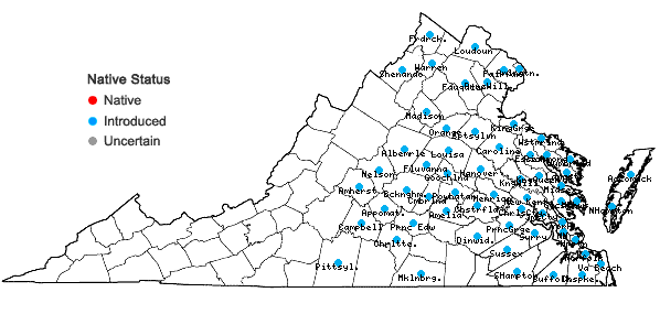 Locations ofHedera helix L. in Virginia