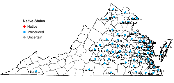 Locations ofHedera helix L. in Virginia