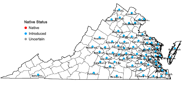 Locations ofHedera helix L. in Virginia