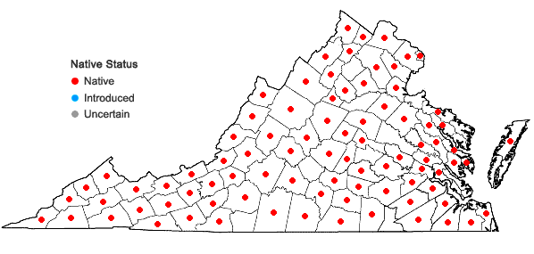 Locations ofHelenium autumnale L. in Virginia