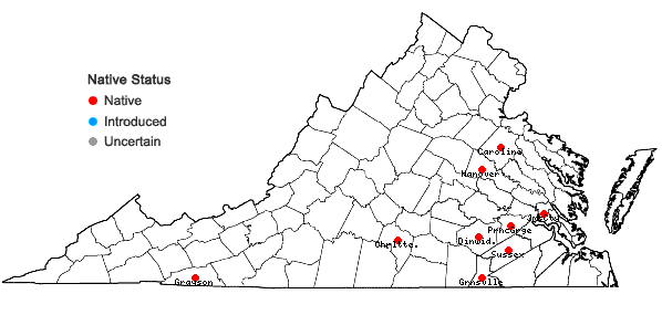 Locations ofHelenium brevifolium (Nutt.) Wood in Virginia