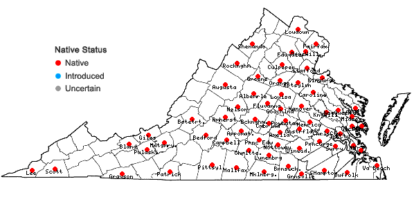 Locations ofHelenium flexuosum Raf. in Virginia