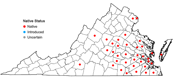 Locations ofHelianthus angustifolius L. in Virginia