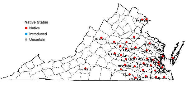 Locations ofHelianthus angustifolius L. in Virginia