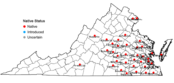 Locations ofHelianthus angustifolius L. in Virginia