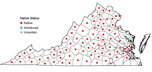 Locations ofHelianthus decapetalus L. in Virginia