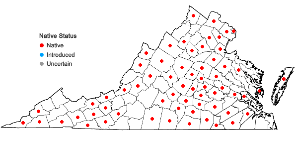 Locations ofHelianthus giganteus L. in Virginia