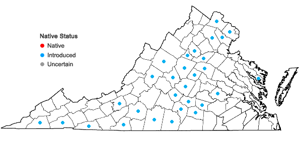 Locations ofHelianthus grosseserratus Martens in Virginia