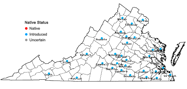 Locations ofHelianthus laetiflorus Pers. in Virginia