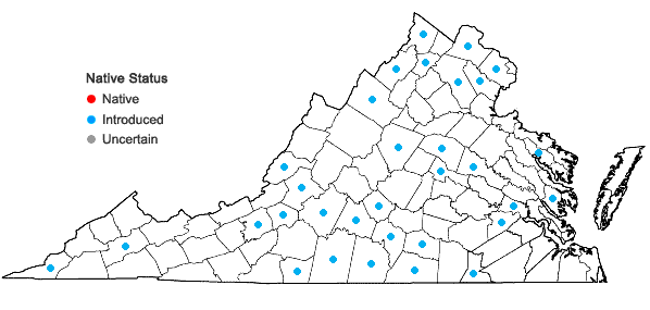 Locations ofHelianthus maximiliani Schrad. in Virginia