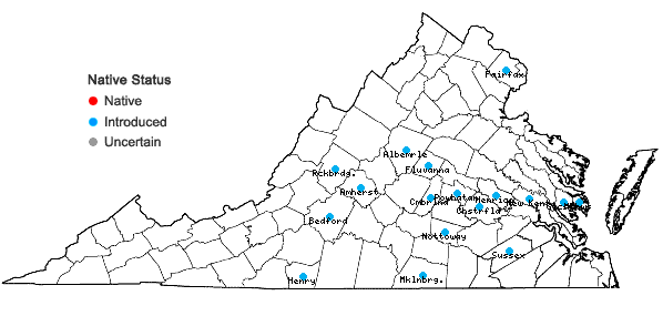 Locations ofHelianthus mollis Lam. in Virginia