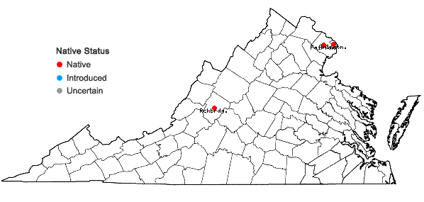 Locations ofHelianthus occidentalis Riddell ssp. occidentalis in Virginia