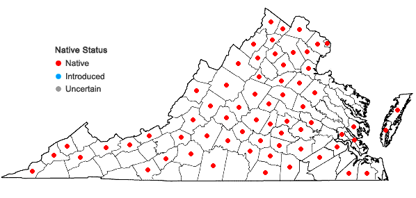 Locations ofHelianthus strumosus L. in Virginia