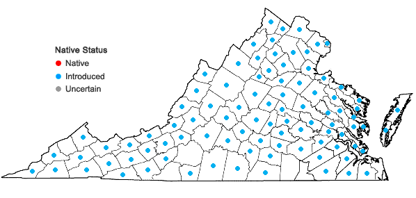 Locations ofHelianthus tuberosus L. in Virginia