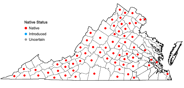 Locations ofHeliopsis helianthoides (L.) Sweet var. helianthoides in Virginia