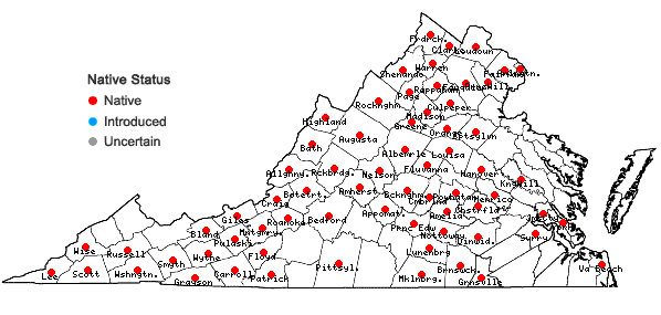 Locations ofHeliopsis helianthoides (L.) Sweet var. helianthoides in Virginia