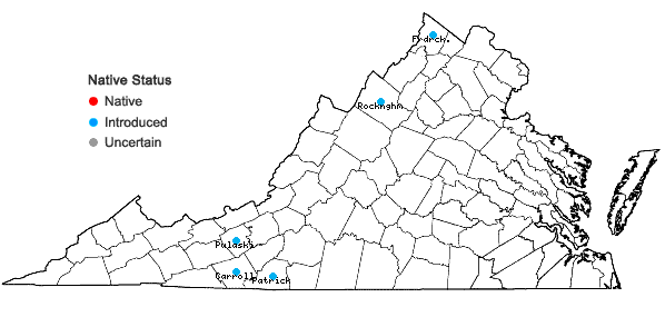 Locations ofHelleborus viridis L. in Virginia