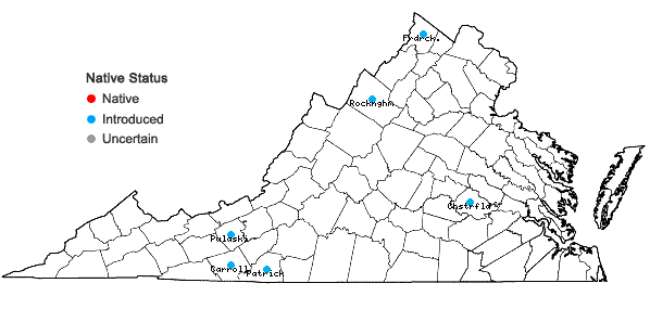 Locations ofHelleborus viridis L. in Virginia
