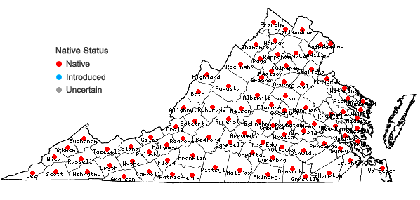 Locations ofHepatica americana (DC.) Ker-Gawl. in Virginia