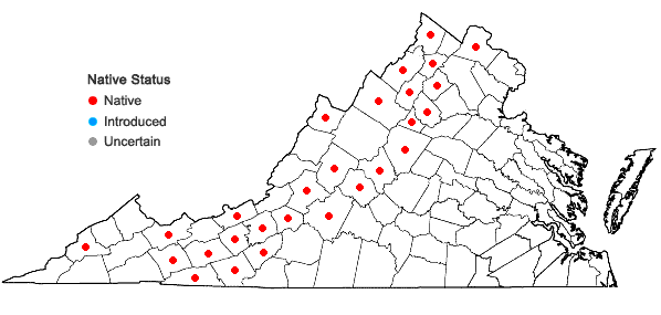 Locations ofHeracleum maximum Bartr. in Virginia