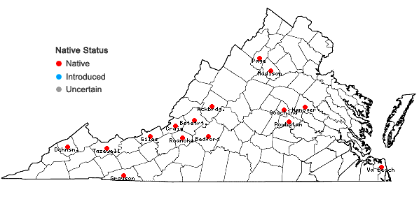 Locations ofHerzogiella striatella (Brid.) Z. Iwats. in Virginia