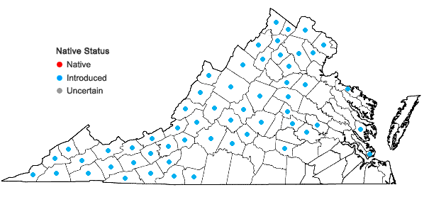 Locations ofHesperis matronalis Linnaeus in Virginia