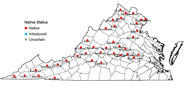 Locations ofHeteranthera dubia (Jacquin) MacMillan in Virginia