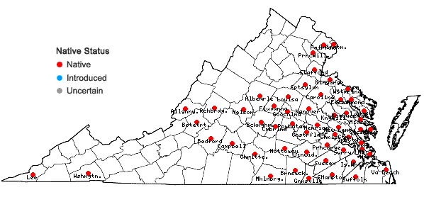 Locations ofHeteranthera reniformis Ruiz & Pavon in Virginia