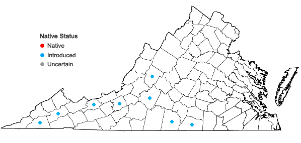 Locations ofHeterotheca camporum (Greene) Shinners var. glandulissima Semple in Virginia