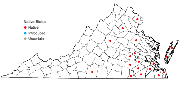 Locations ofHeterotheca subaxillaris (Lam.) Britt. & Rusby in Virginia