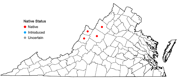 Locations ofHeuchera alba Rydb. in Virginia