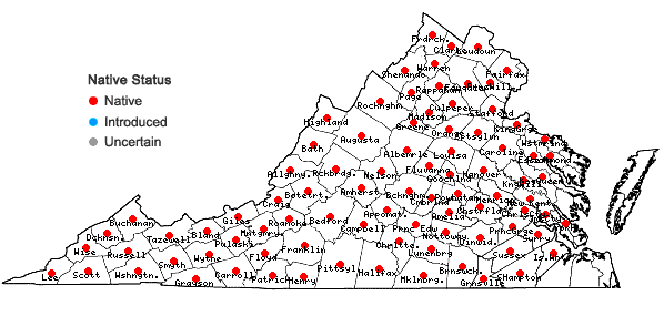 Locations ofHeuchera americana L. in Virginia