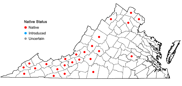 Locations ofHeuchera hispida Pursh in Virginia