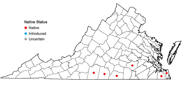 Locations ofHexastylis arifolia (Michx.) Small in Virginia