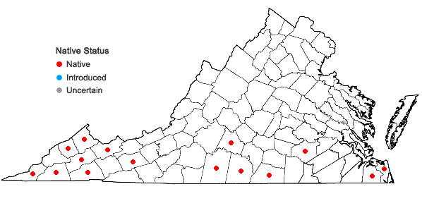 Locations ofHexastylis arifolia (Michx.) Small in Virginia