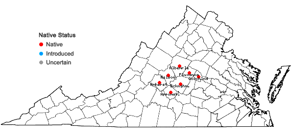 Locations ofHexastylis chueyi (B.T. Sinn) Weakley & D.B. Poind. in Virginia