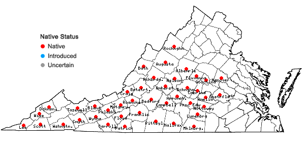 Locations ofHexastylis heterophylla (Ashe) Small in Virginia