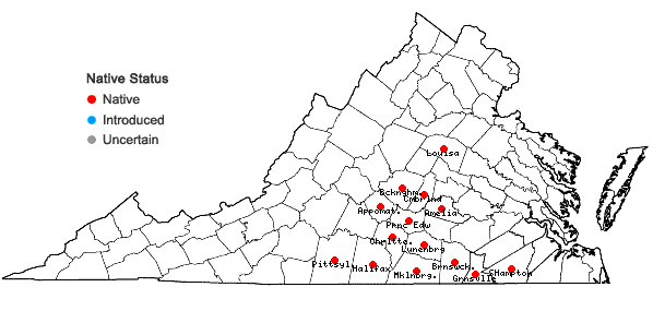 Locations ofHexastylis lewisii (Fern.) Blomquist & Oosting in Virginia