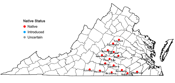 Locations ofHexastylis lewisii (Fern.) Blomquist & Oosting in Virginia