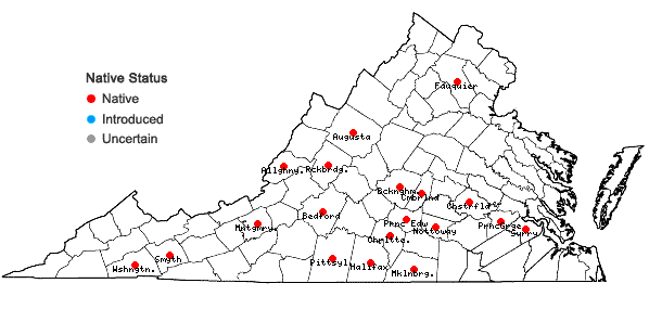 Locations ofHexastylis minor (Ashe) Blomquist in Virginia