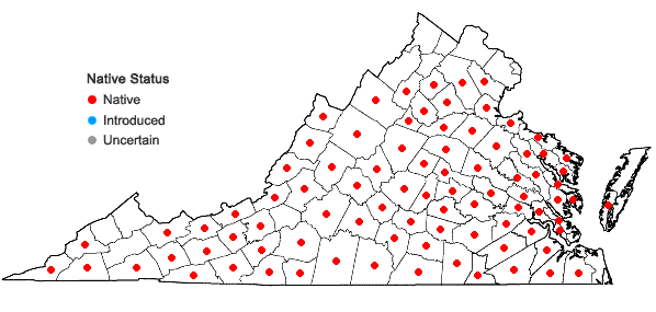 Locations ofHexastylis virginica (L.) Small in Virginia