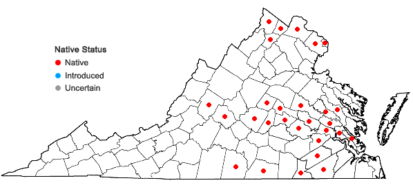 Locations ofHibiscus laevis Allioni in Virginia